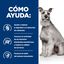 354 g Hill's Prescription Diet Digestive i/d Care Low Fat Estofado de Pollo y Verduras lata para perros, , large indicador imagen numero 4